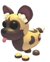 African Wild Dog