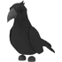 Crow