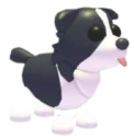 Mega Neon Border Collie