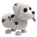 Neon Dalmatian